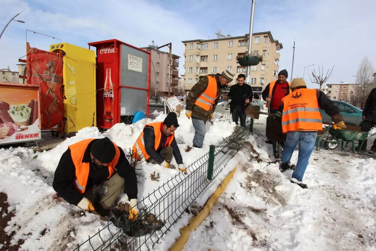 Zemheride Çiçek Dikiliyor…