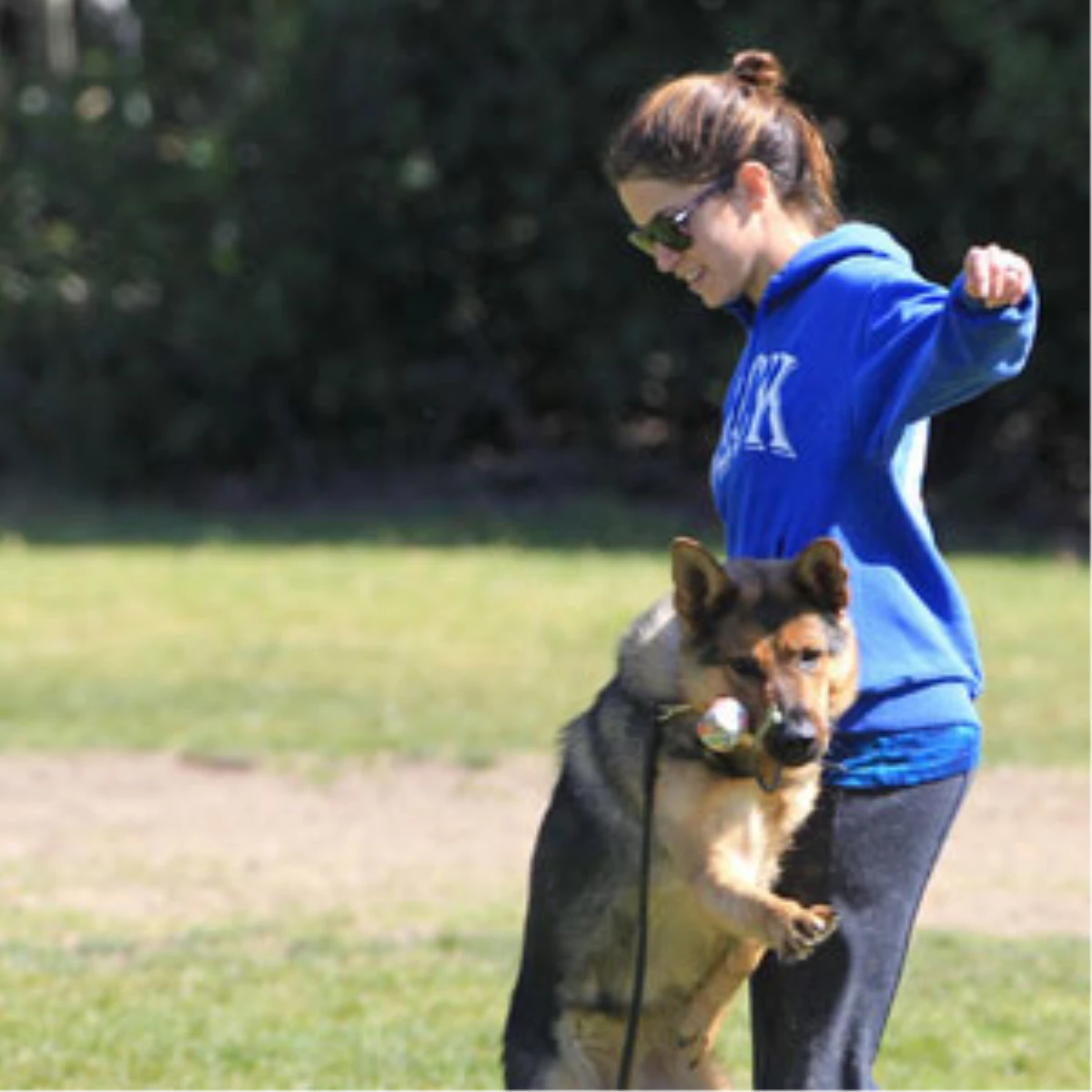 En İyi Arkadaşları Köpekleri