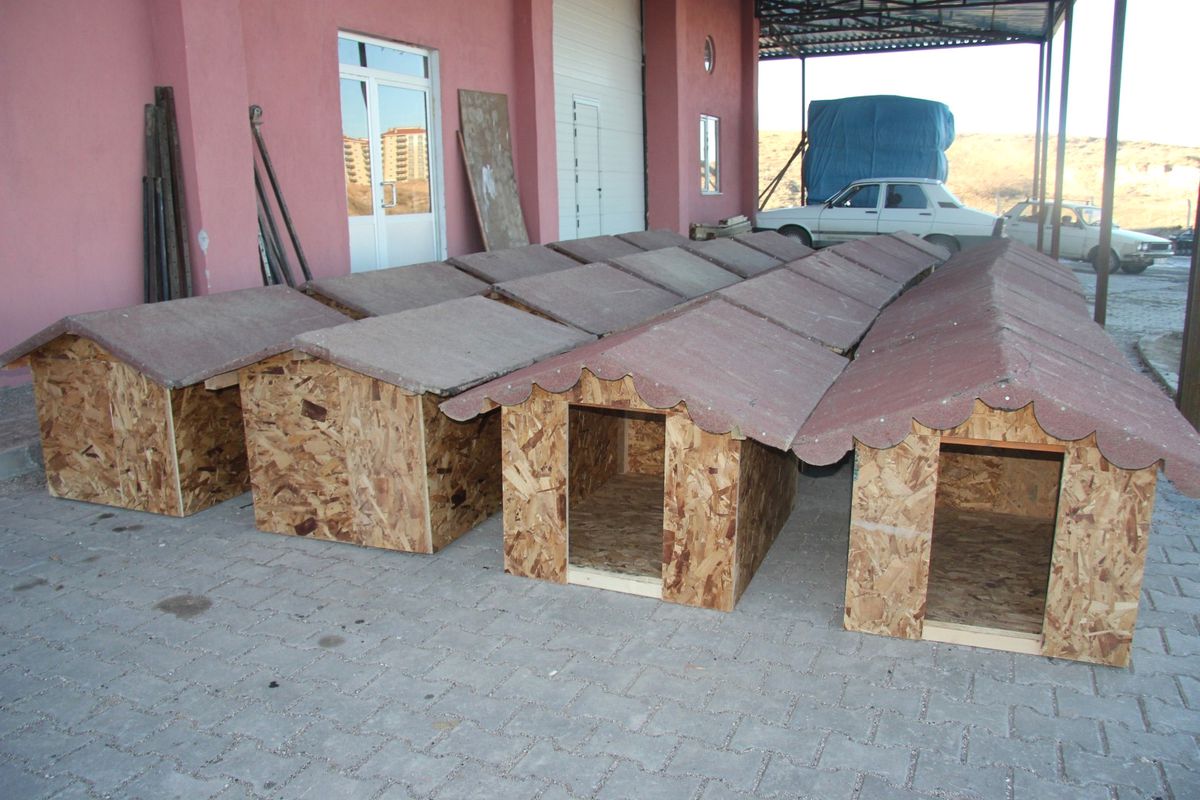 Nevşehir Belediyesi\'nden Köpekler İçin Yuva