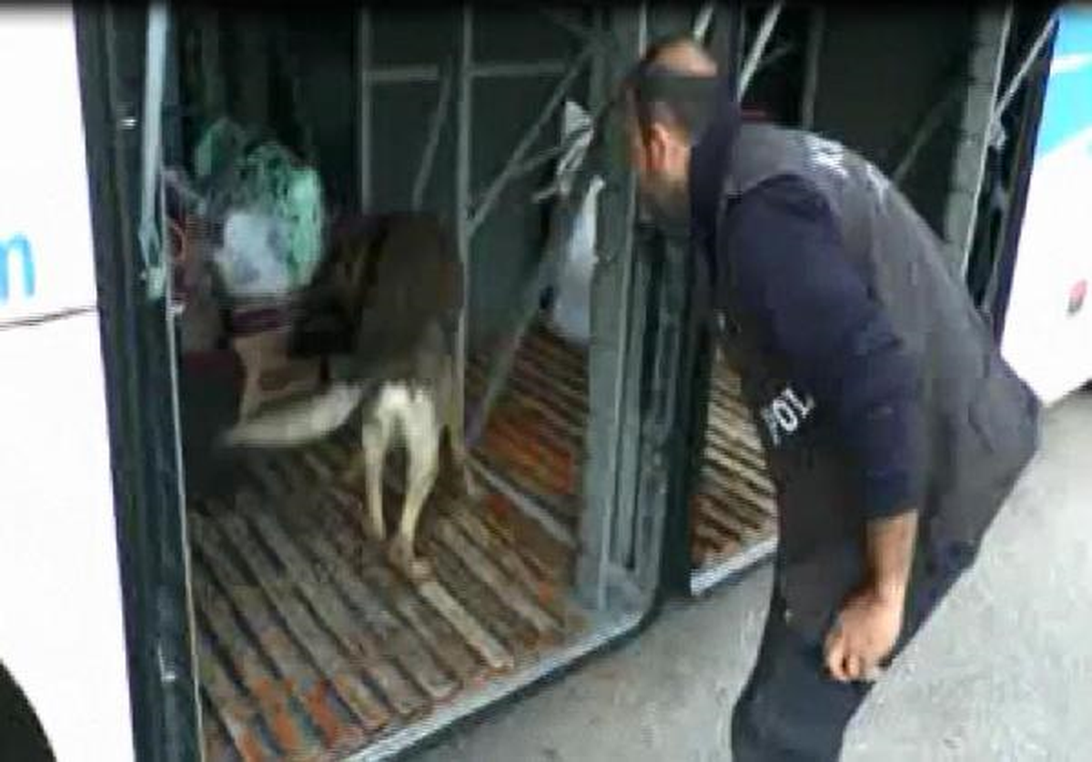 Adana\'da Bir Haftada 378 Kilo Esrar Ele Geçirildi