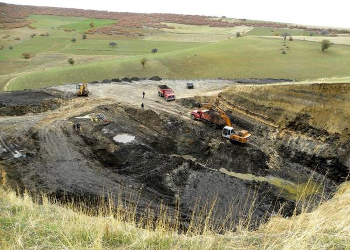 Güney Koreliler Develi\'de Leonardit Araştırıyor