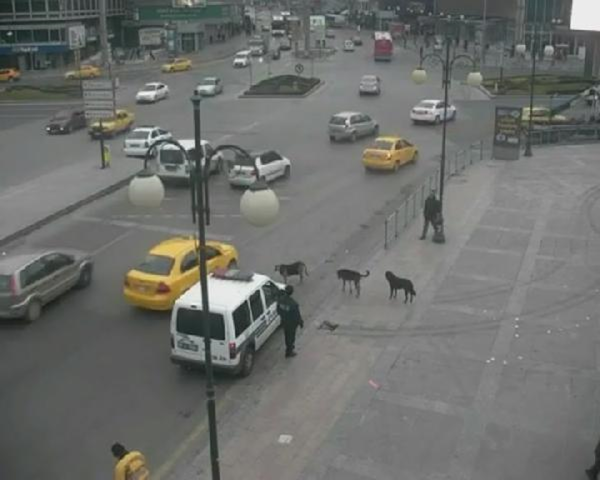 \'Trafik Dostlarını\' Polis Şaşkınlık İçinde İzledi