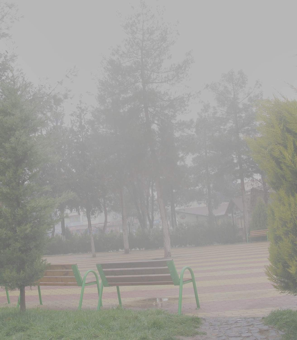 Düzce\'de Yoğun Sis