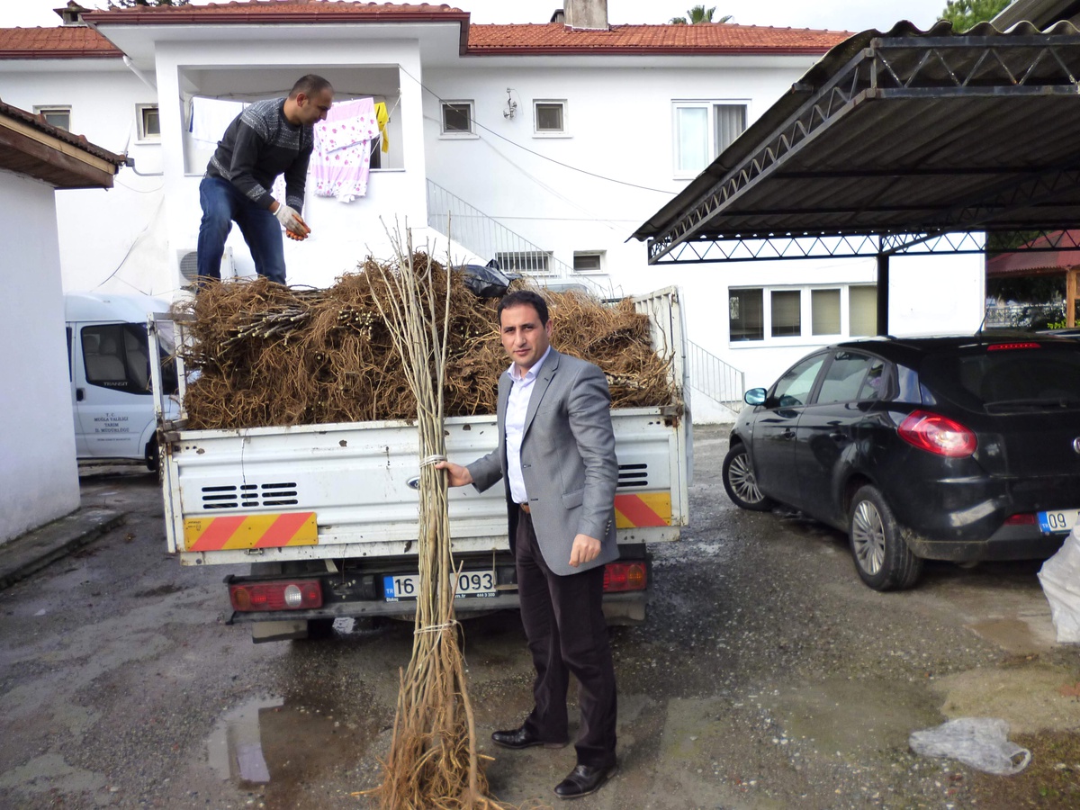 Köyceğiz İpek Böcekçiliğinin de Merkezi Oluyor