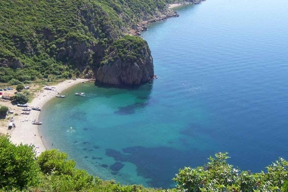 Saros Körfezi\'nin Doğal Zenginlikleri Ortaya Çıkarılıyor