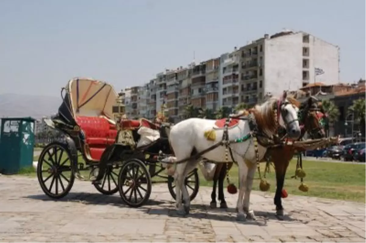 Yyü'de Faytonlu Ulaşım Devri