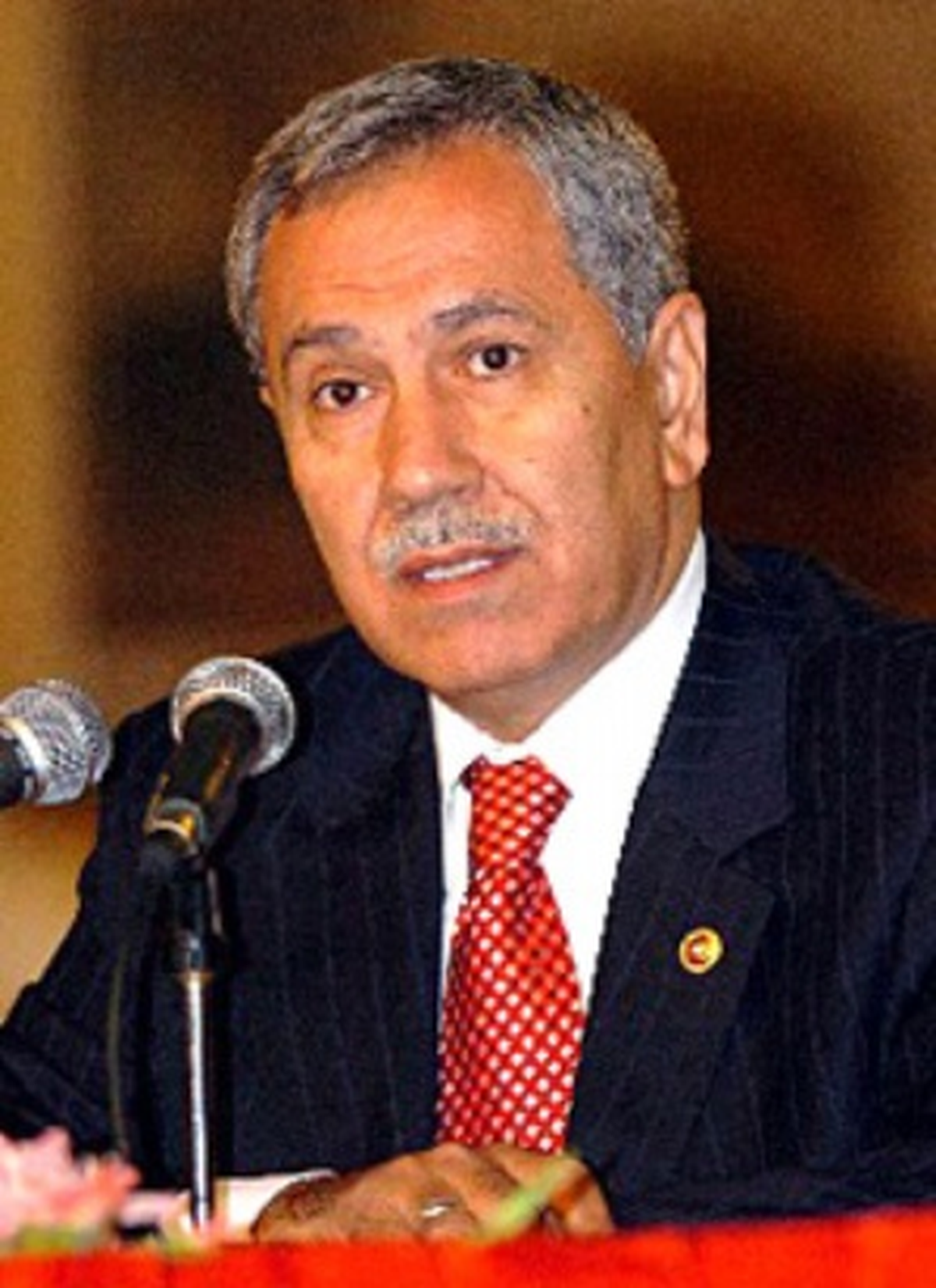 Arınç\'tan \'Revizyon\' Değerlendirmesi