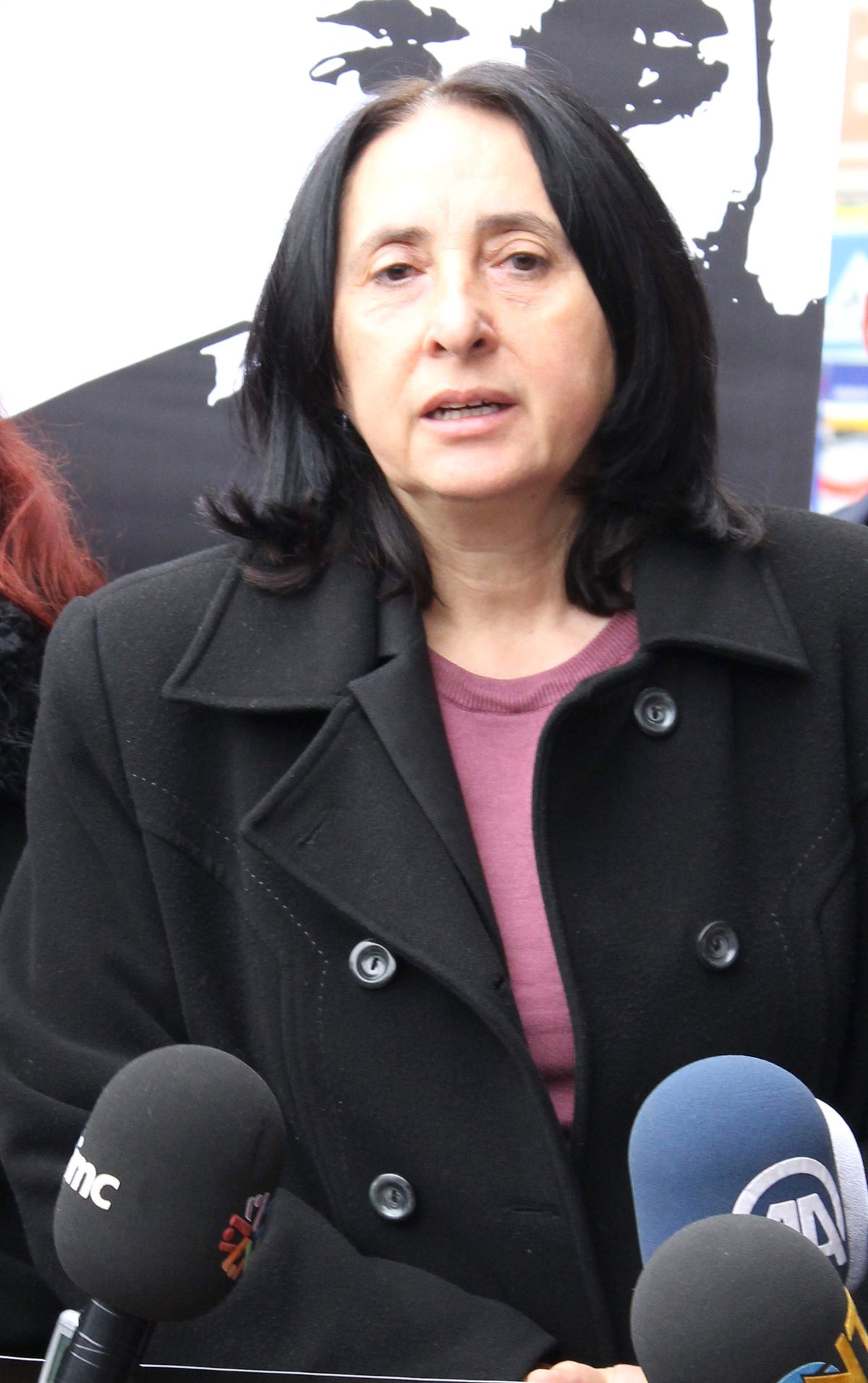 BDP\'li Aydoğan Kabine Değişikliğini Değerlendirdi