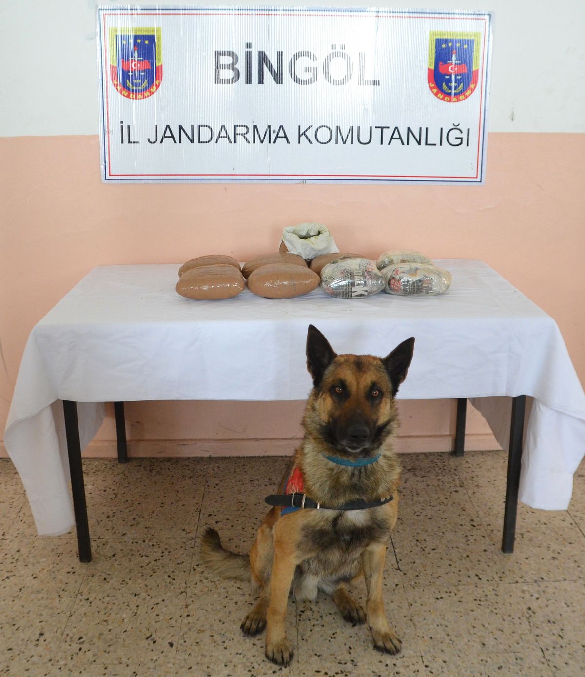 Bingöl\'de 9 Kilo Esrar Ele Geçirildi