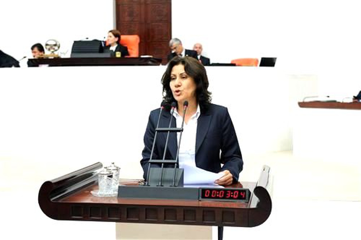 CHP Manisa Milletvekili Sakine Öz Açıklaması