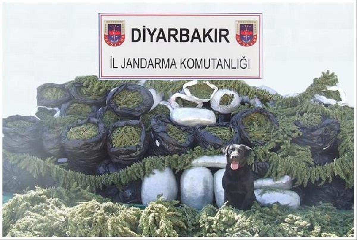 Diyarbakır\'da 450 Kilo Esrar Ele Geçirildi
