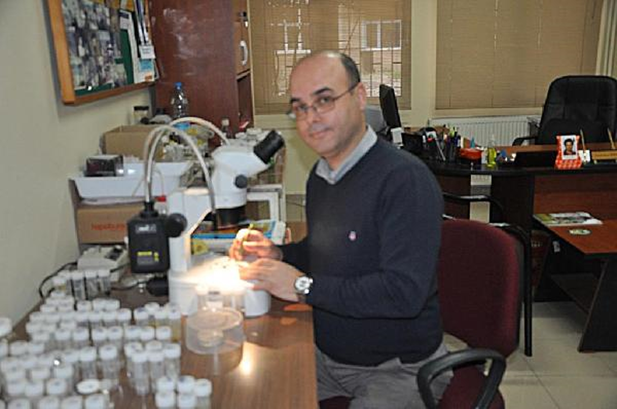 Ege Üniversitesi\'nde 3 Yeni Canlı Türü Daha Bulundu