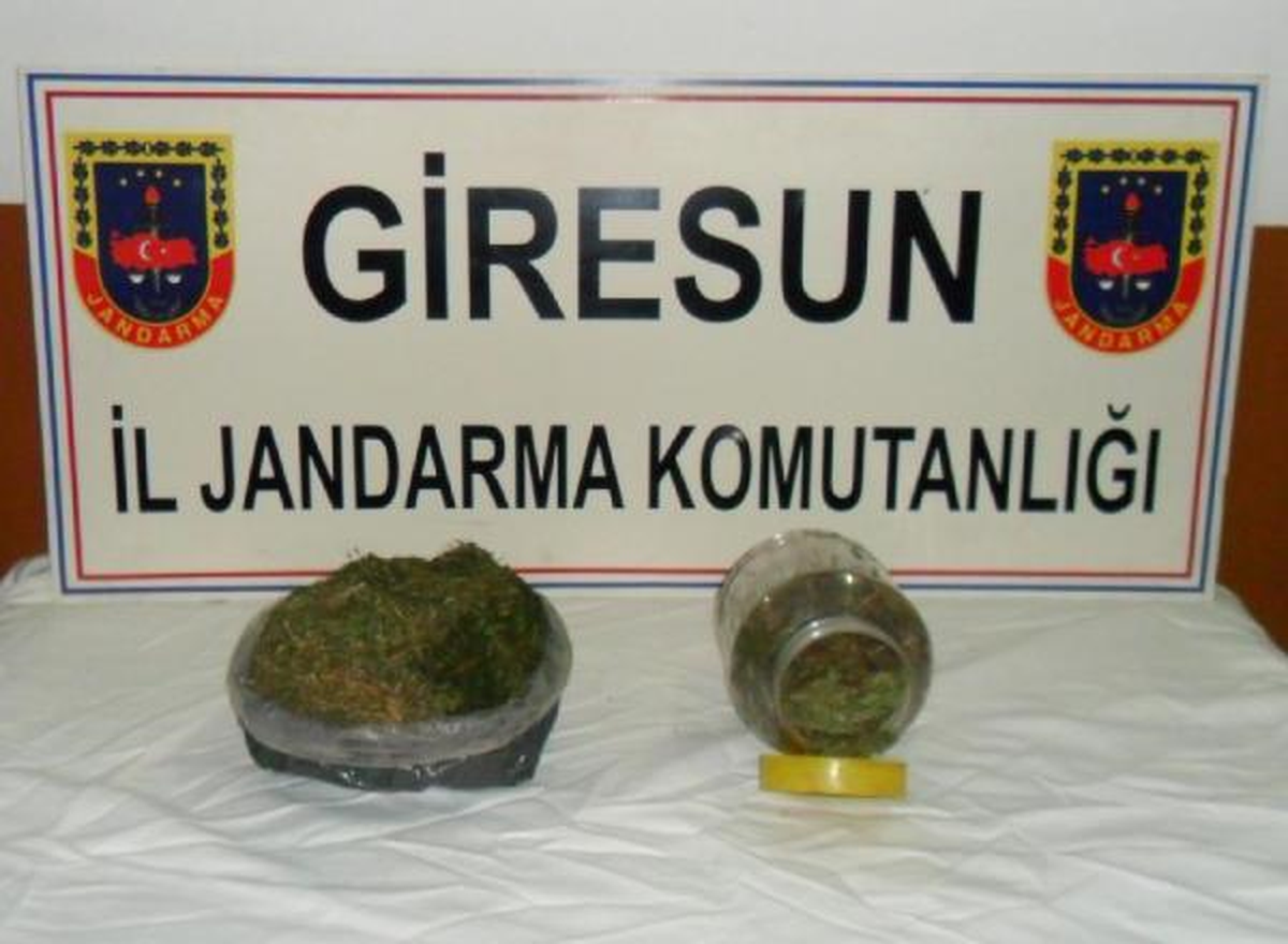Giresun ve İstanbul\'da Uyuşturucu Operasyonu