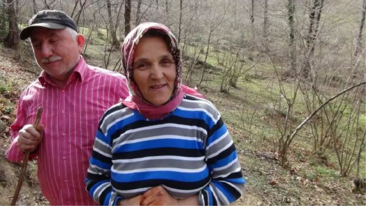 Odun Keserek Eşi ve 4 Çocuğuna Bakıyor