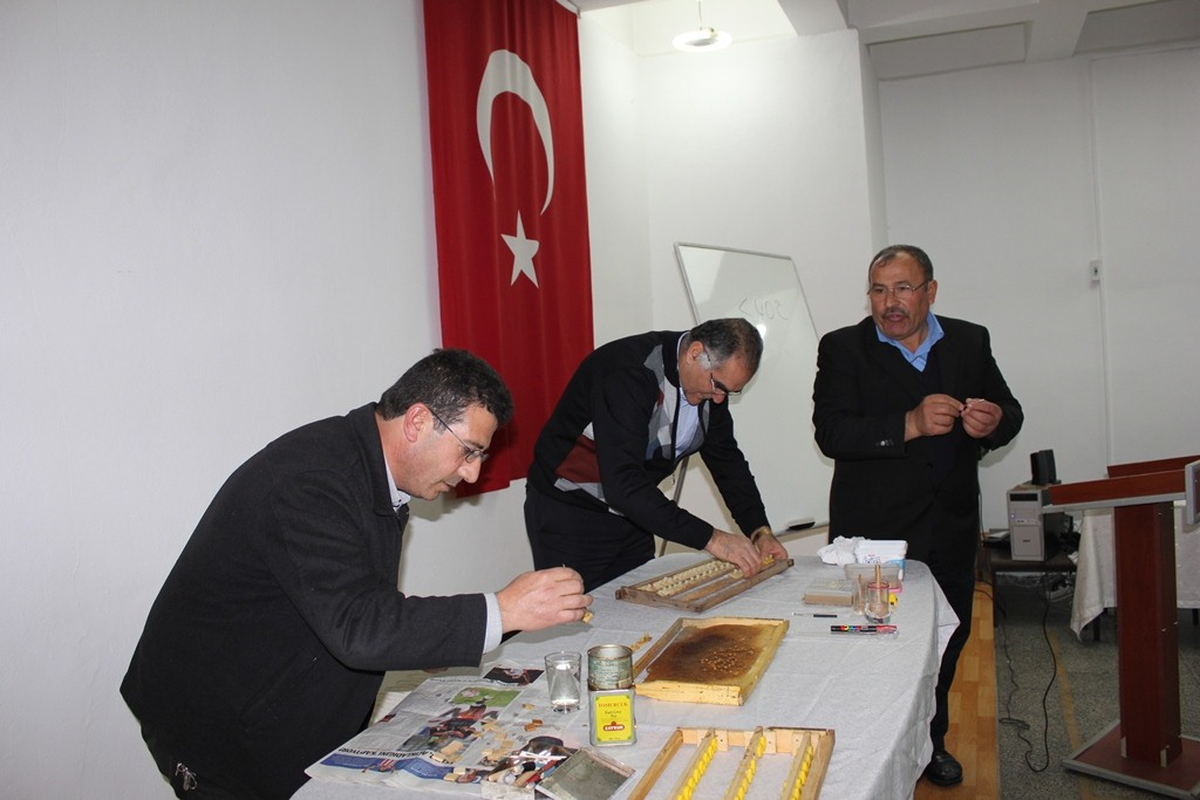 Erzincan\'da İlk Kez Ana Arı Yetiştirme Kursu Açıldı