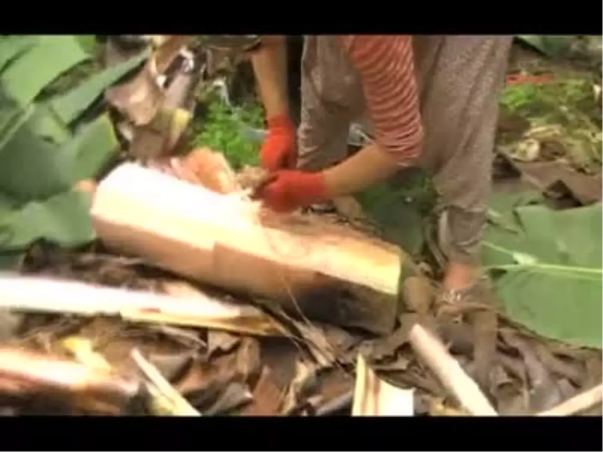 Mersin 72 Yaşındaki \'Muz Ana\' Usta Öğretici Oldu