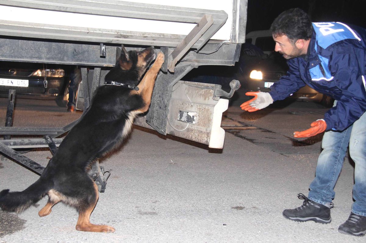 Mersin\'de Uyuşturucu Operasyonu