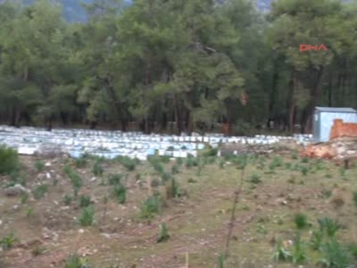 Akyaka Arıcıların Kış Göçü Arıcıların Kış Göçü