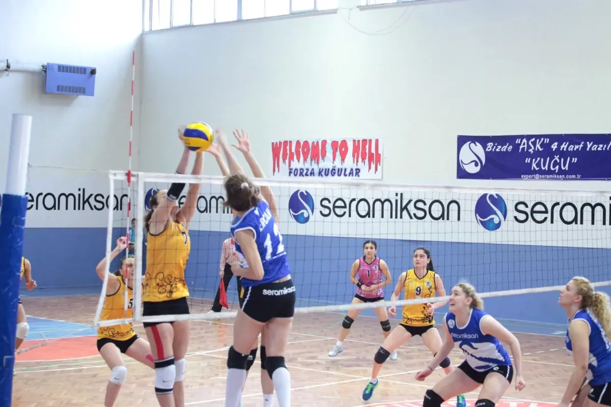 Türkiye Voleybol Federasyonu 3. Lig