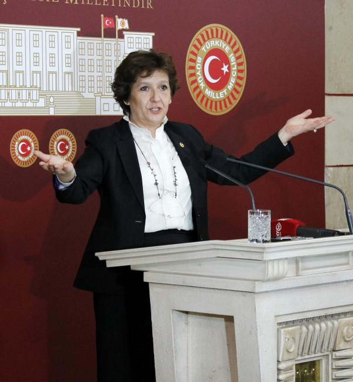 Birgül Ayman Güler : Bu Organizasyon Karanlıktır; Başarıya Ulaşamayacaktır