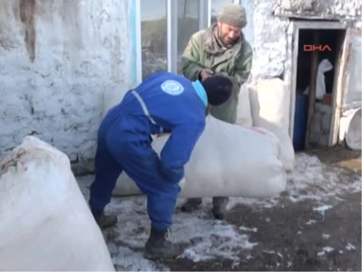 Kars Saman Ağaları Saman Ağaları