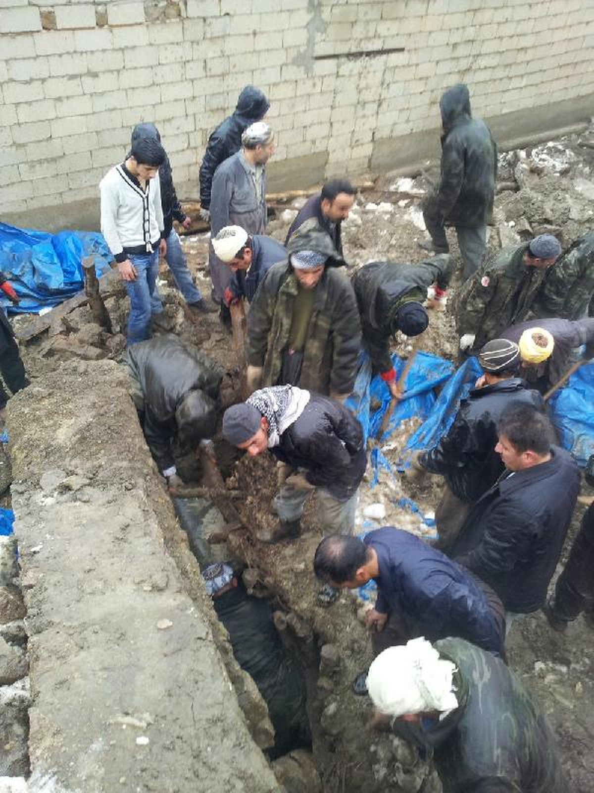 Şemdinli\'de Heyelan: 2 Büyükbaş Hayvan Telef Oldu