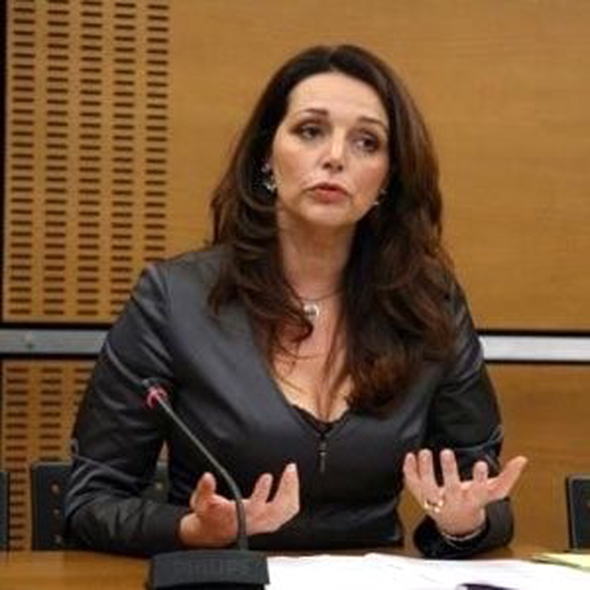 Valérıe Boyer\'nın "Komisyon" Teklifi Ulusal Meclis Tarafından Reddedildi