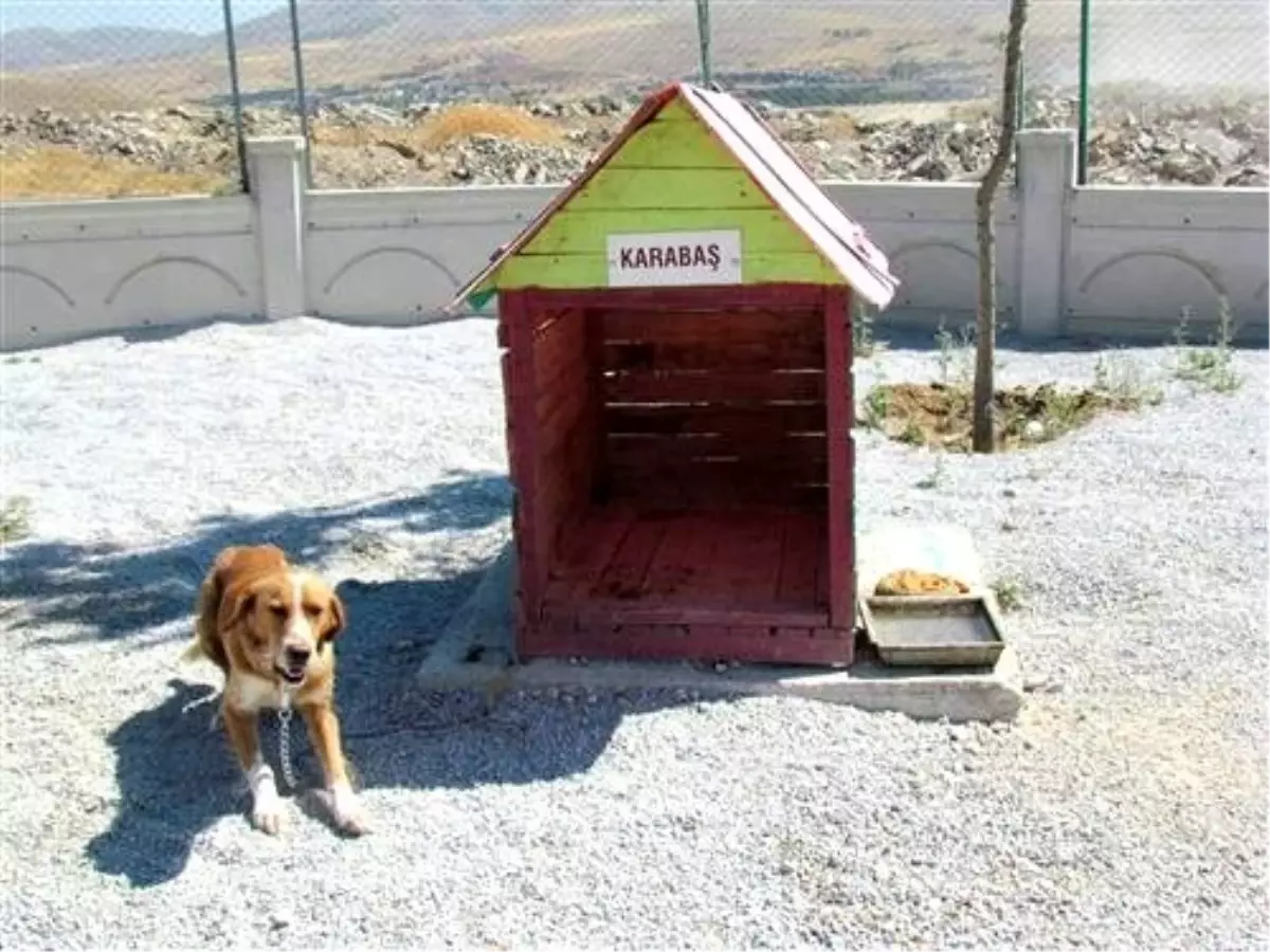 Artık Onların da Bir Evi Var