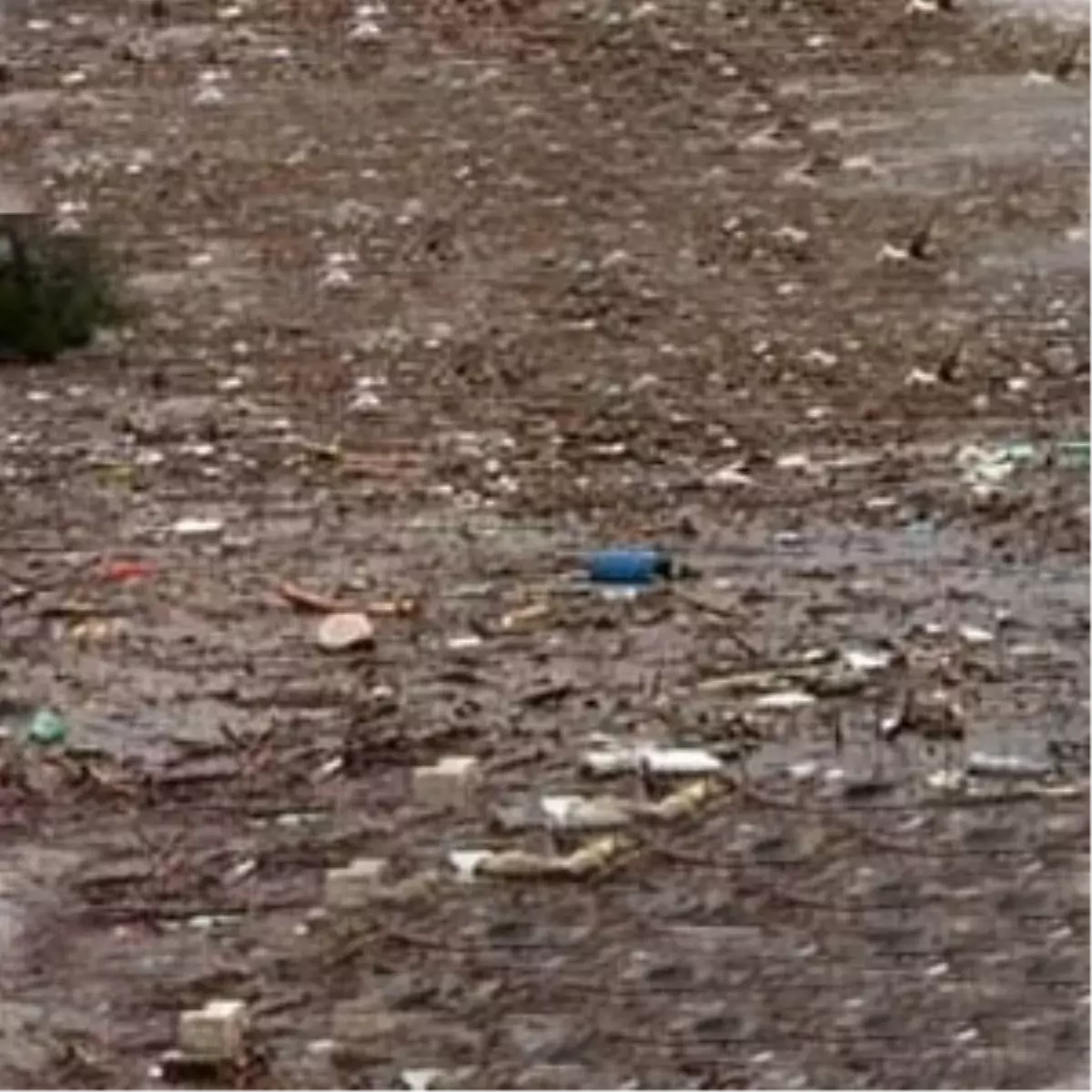 Çanakkale Zehir Kutuları Barajda Ada Oluşturdu Zehir Kutuları Barajda Ada Oluşturdu