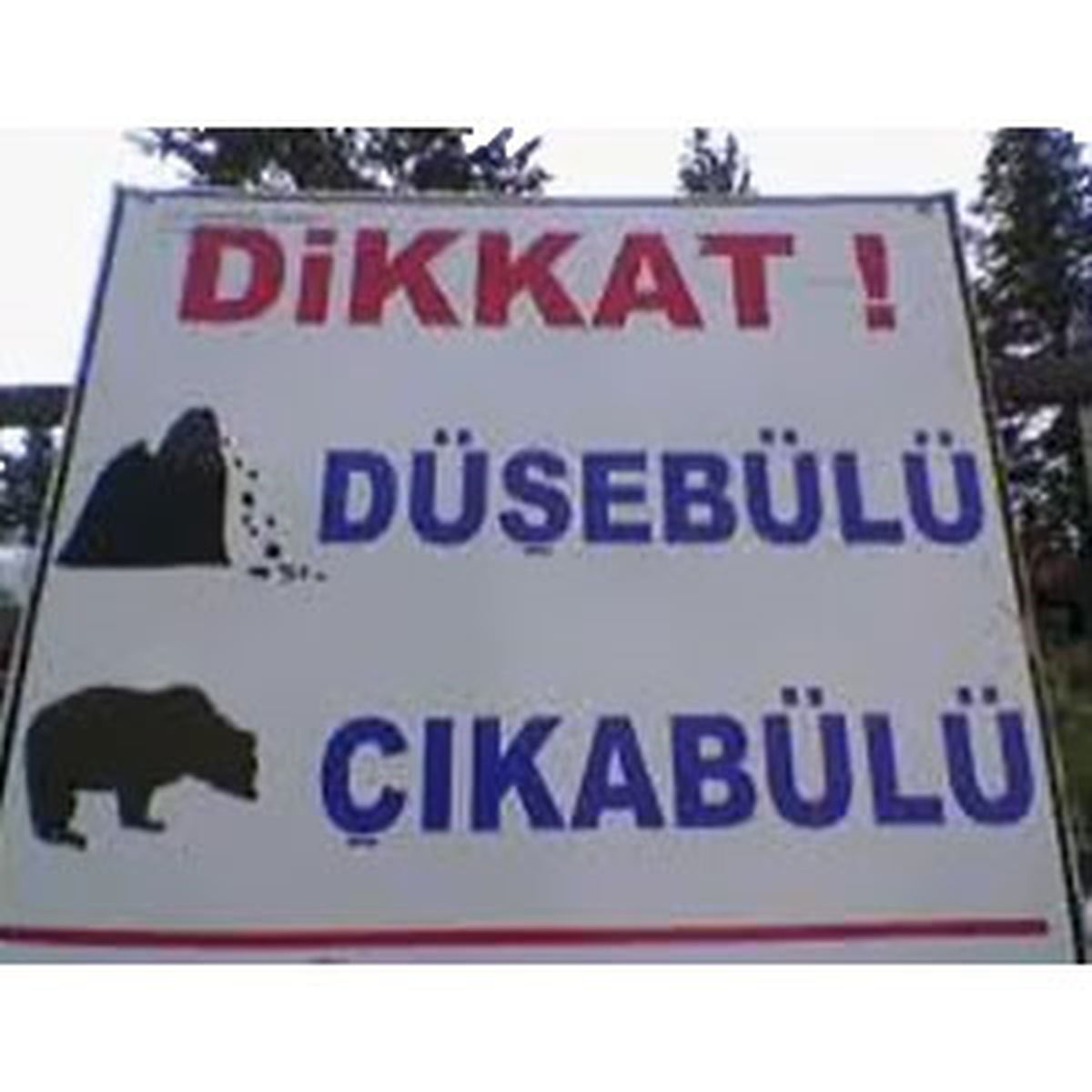 Dikkat 'Daş Düşebülü Ayı Çıkabülü'