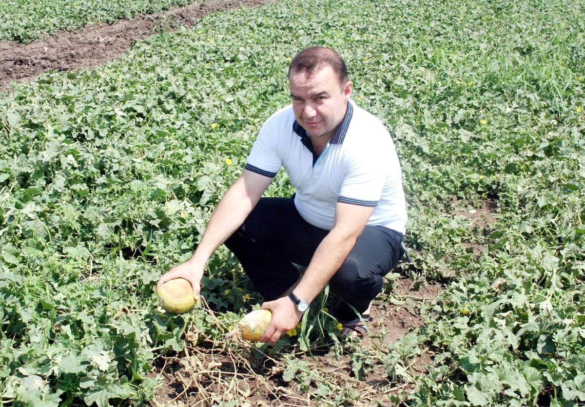 Kilis Ziraat Odası\'ndan Tarım Sigortası Çağrısı