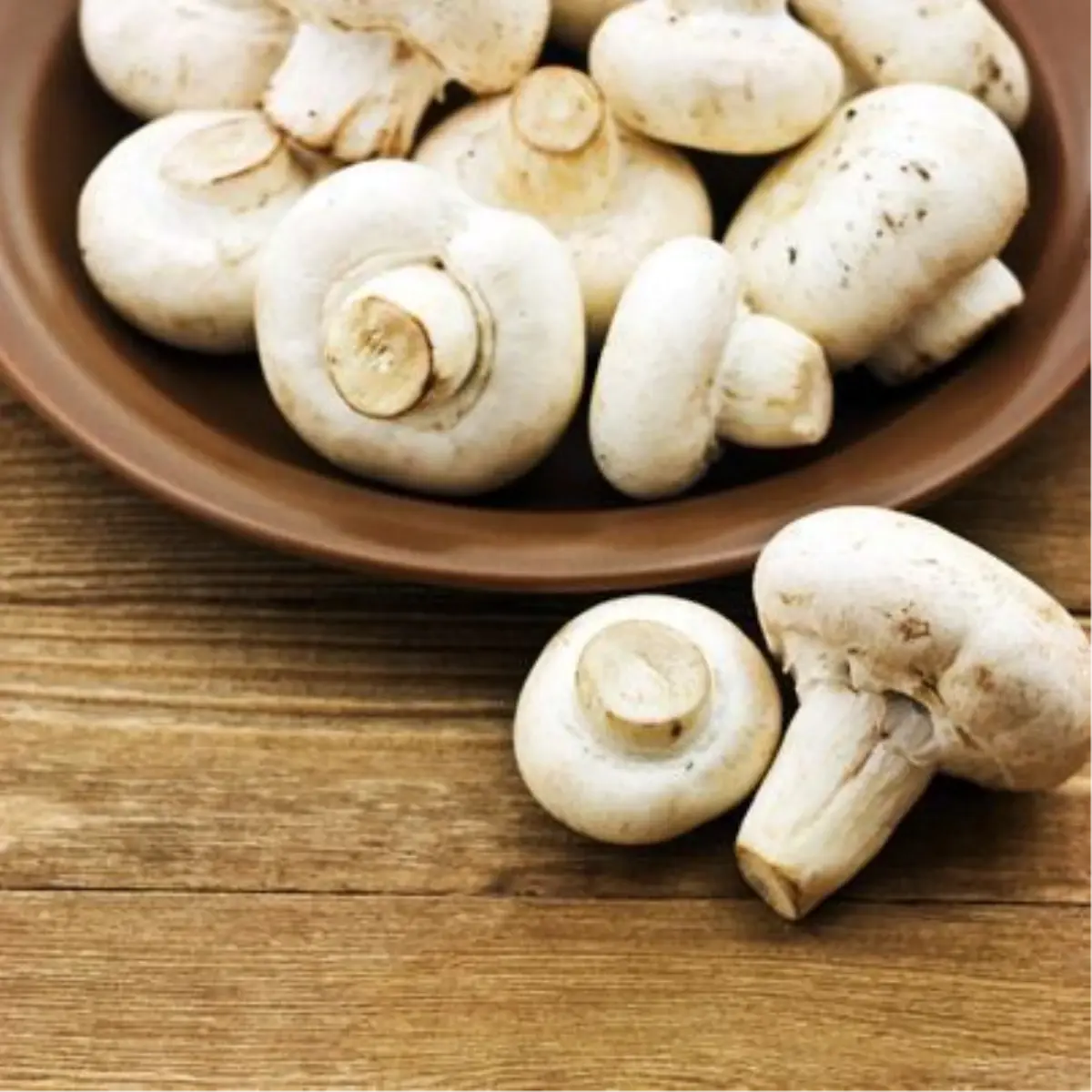 Kocaeli'de Sebze ve Meyve Fiyatları