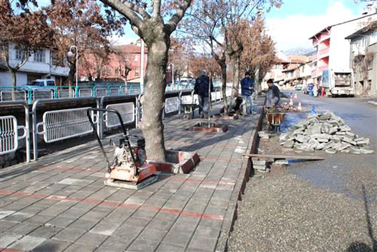 Mola, Çalışmaları Yerinde İnceledi