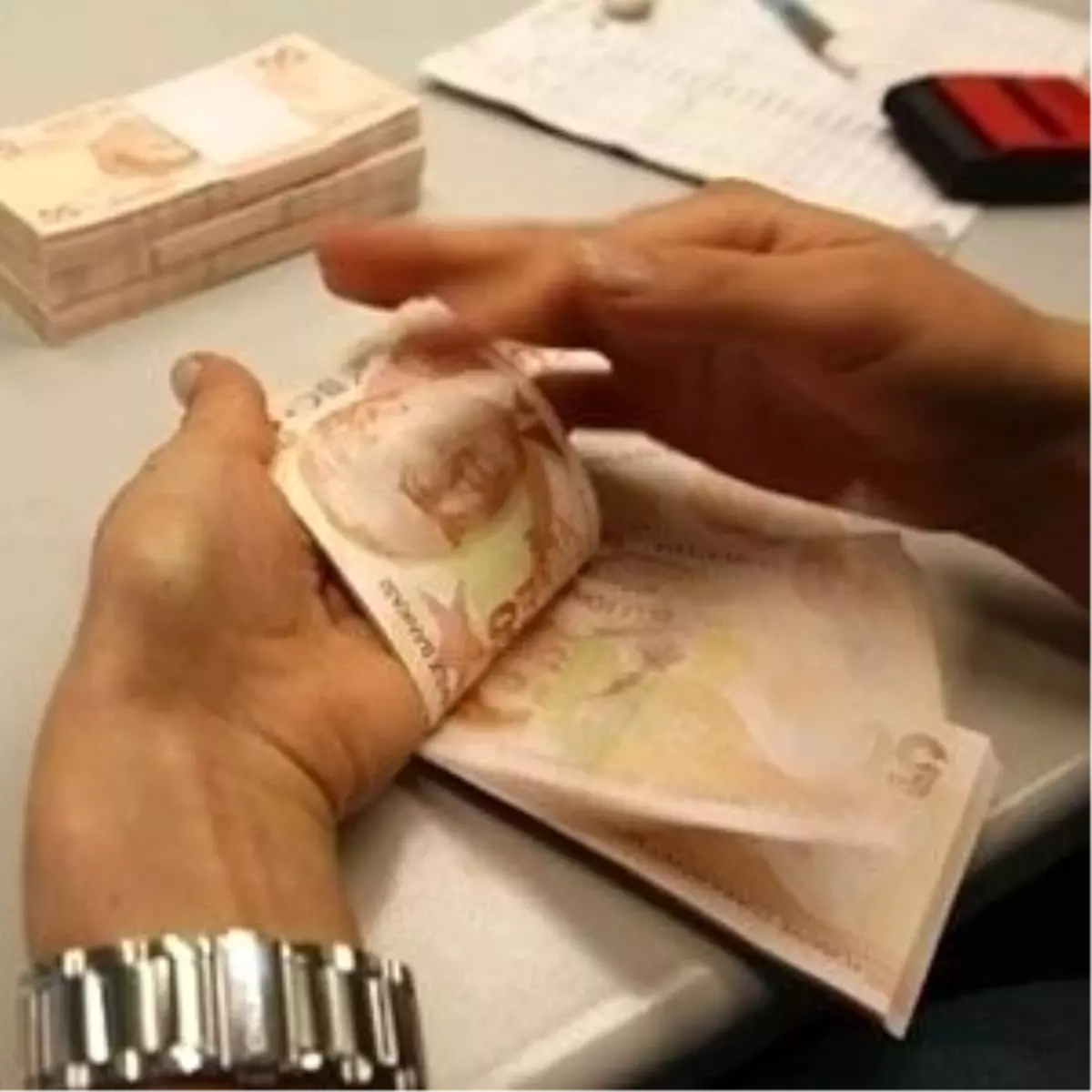 Tarım Bakanlığı 2013 Yılına da Desteklemeyle Girdi