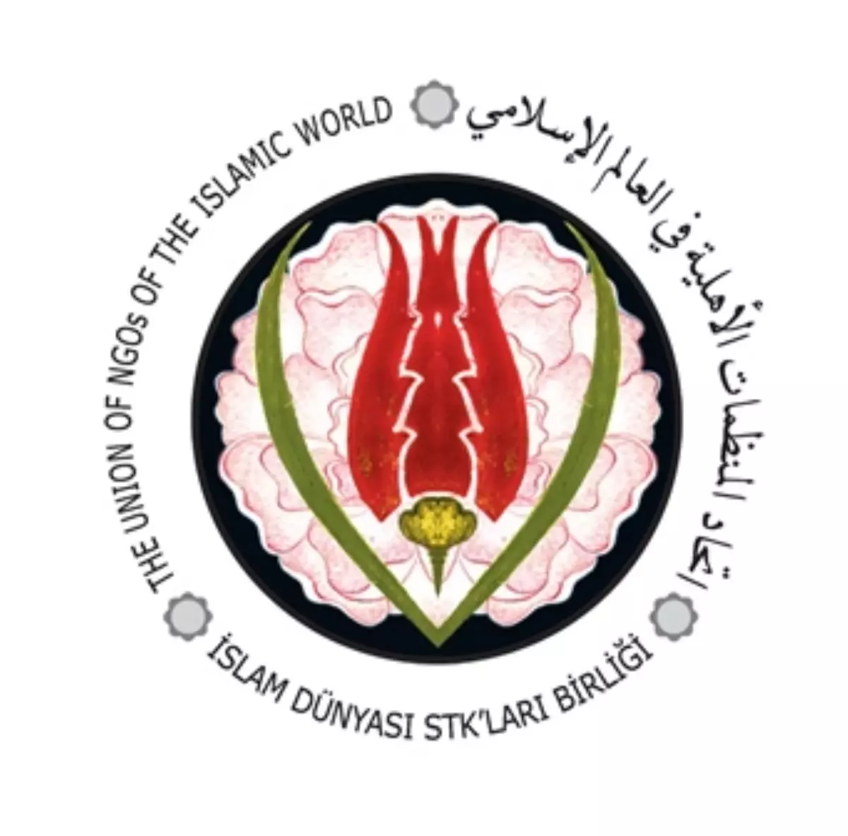 İslam Dünyasının Gençleri KKTC\'de Buluştu