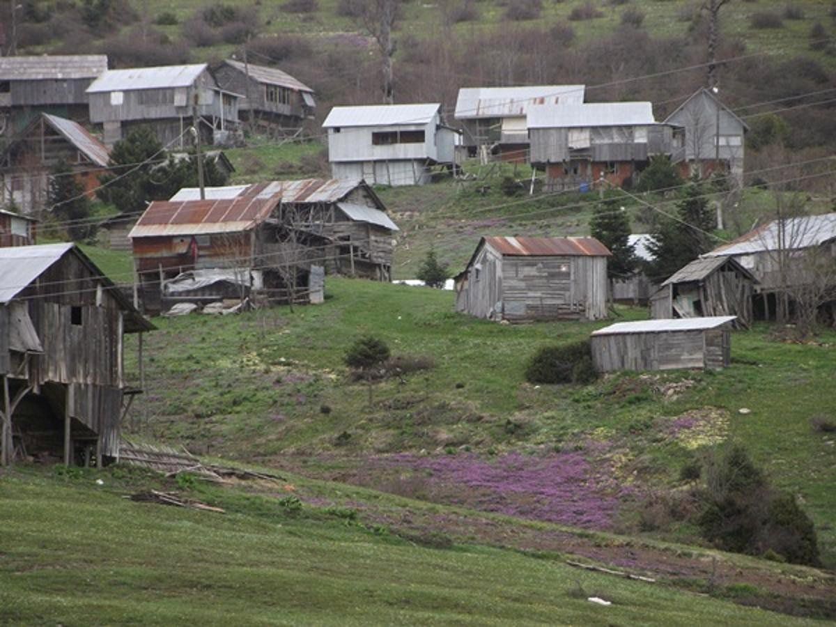 Sakarya\'nın Yaylaları Doğallıklarını Kaybediyor