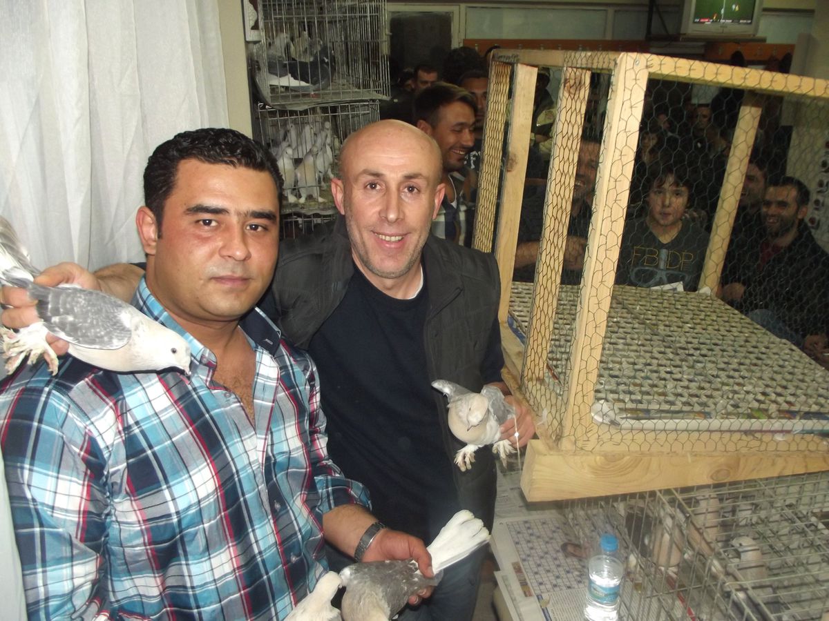 Tarla Fiyatına Kuş