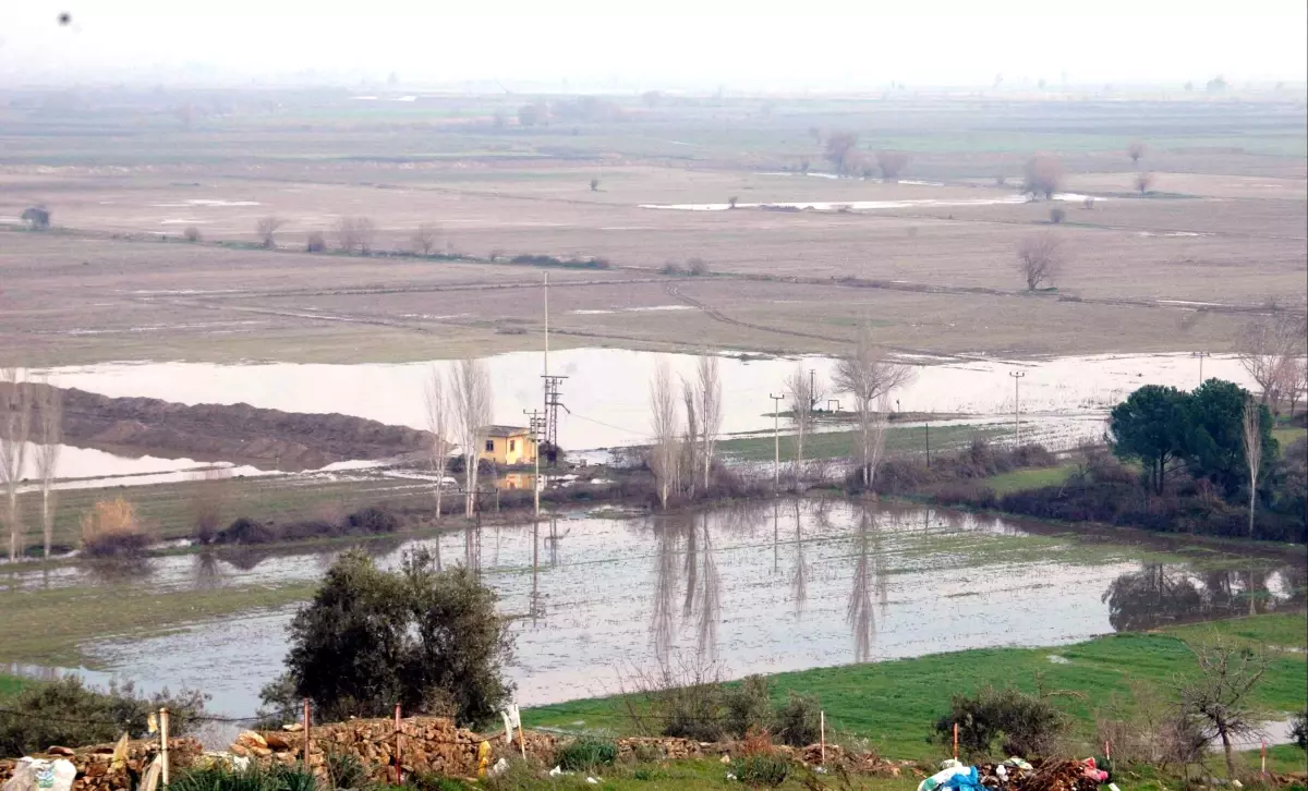 Taşkından En Az Etkilenen Koçarlı Ovası Oldu