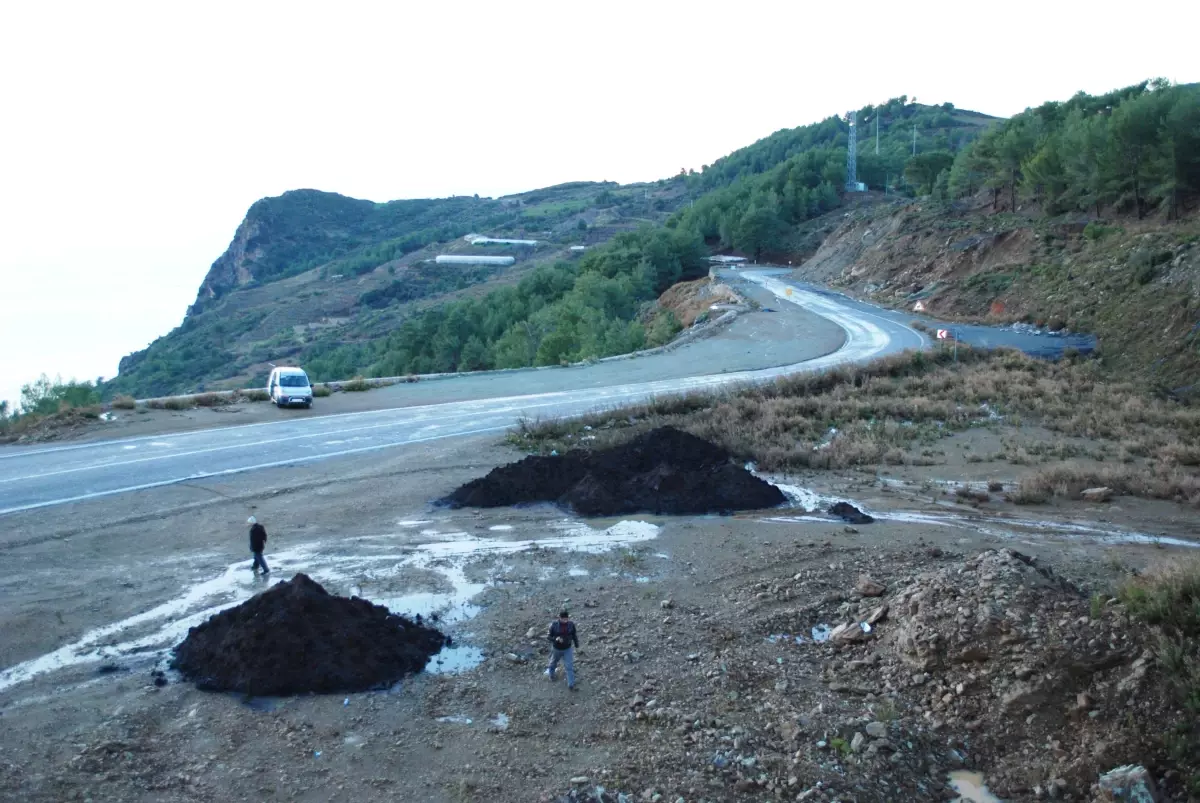 Zeytinada Mercek Altında