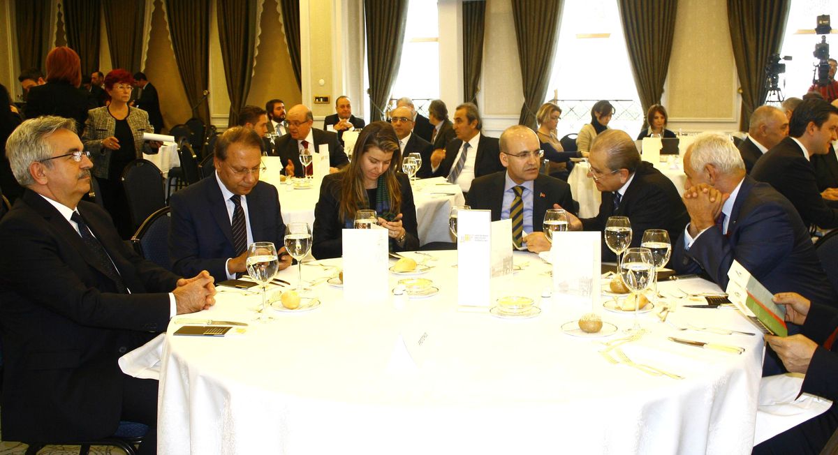 "20 Milyar Doların Üzerinde Özelleştirme Olabilir"