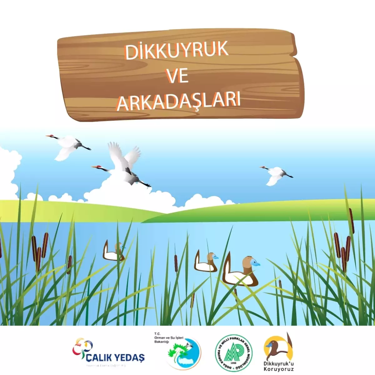 Çalık Yedaş \'Dikkuyruk\'a Sahip Çıktı
