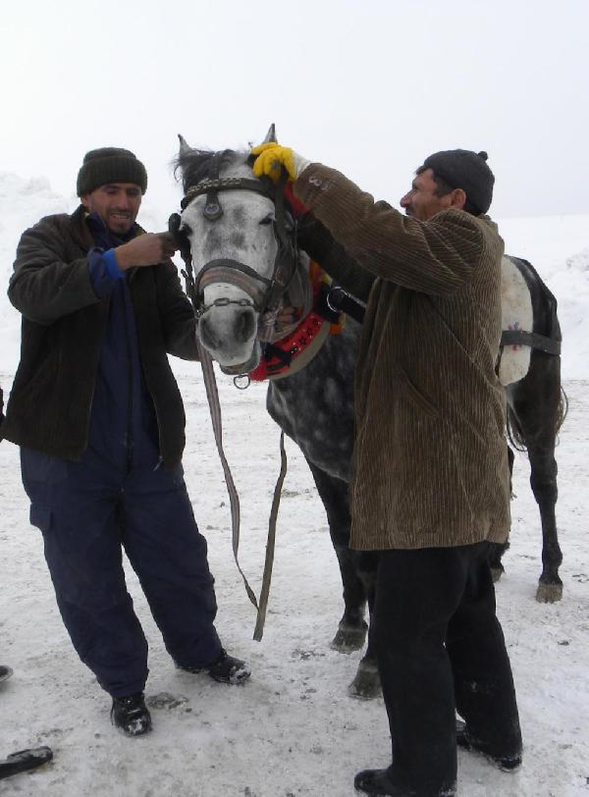 Erciyes Dağı\'nda Atlı Kızak Turu