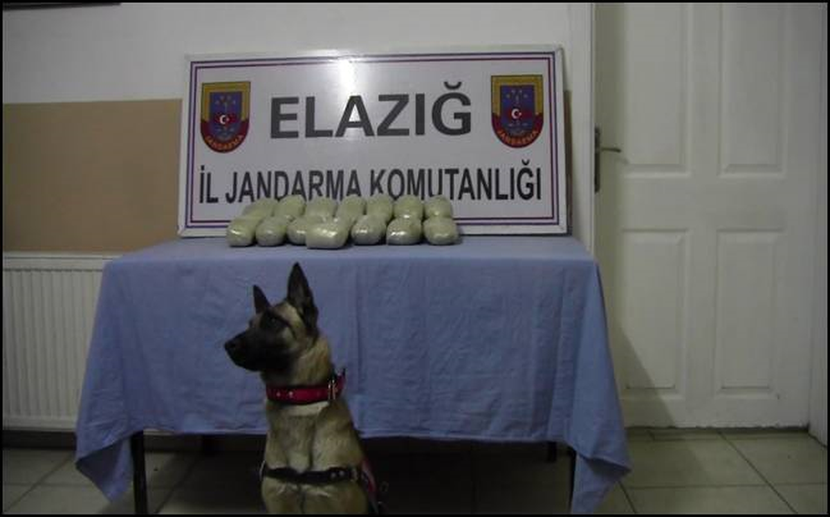 Yolcu Treninde 8 Kilogram Eroin Ele Geçirildi