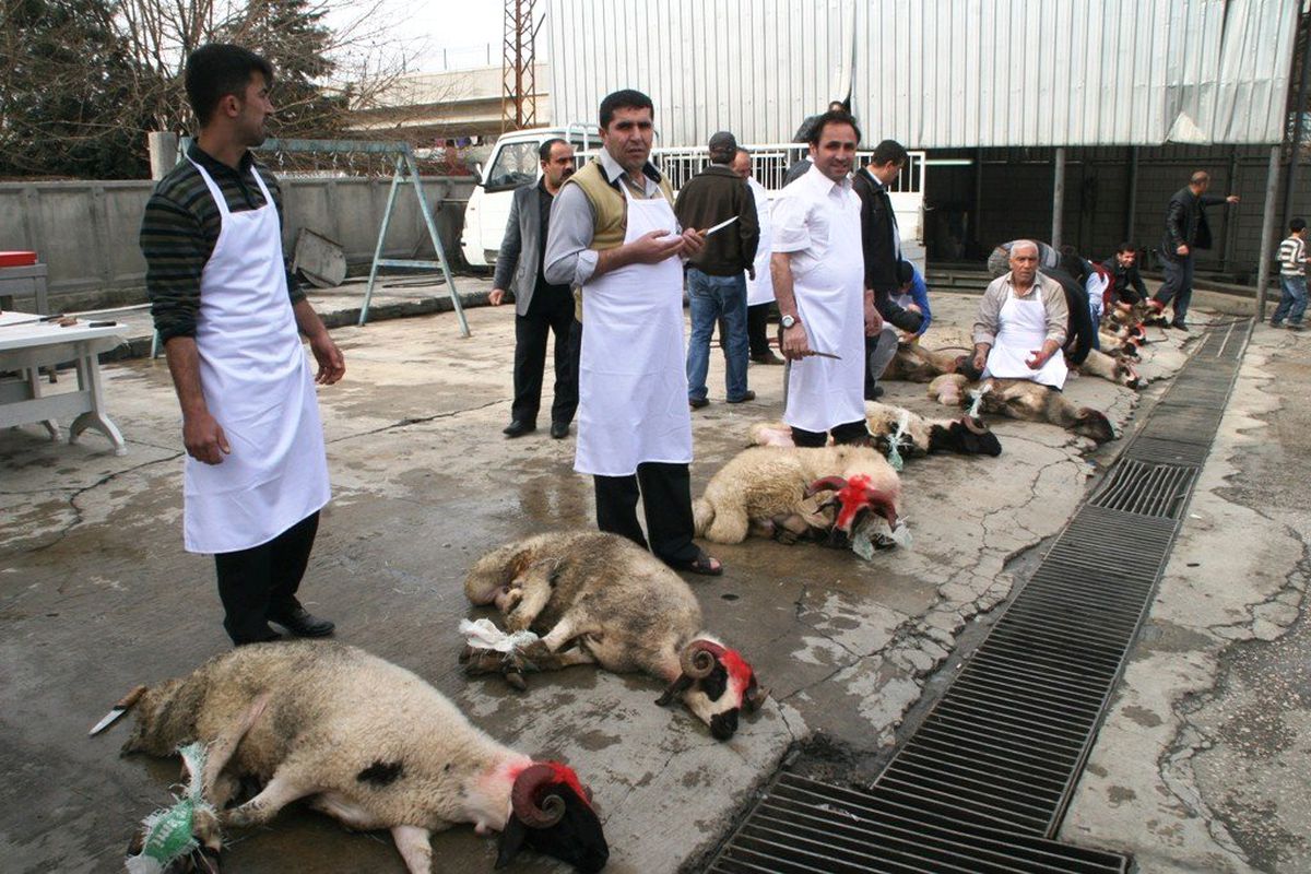 11 Yıllık Bakan Özlemine 11 Kurban