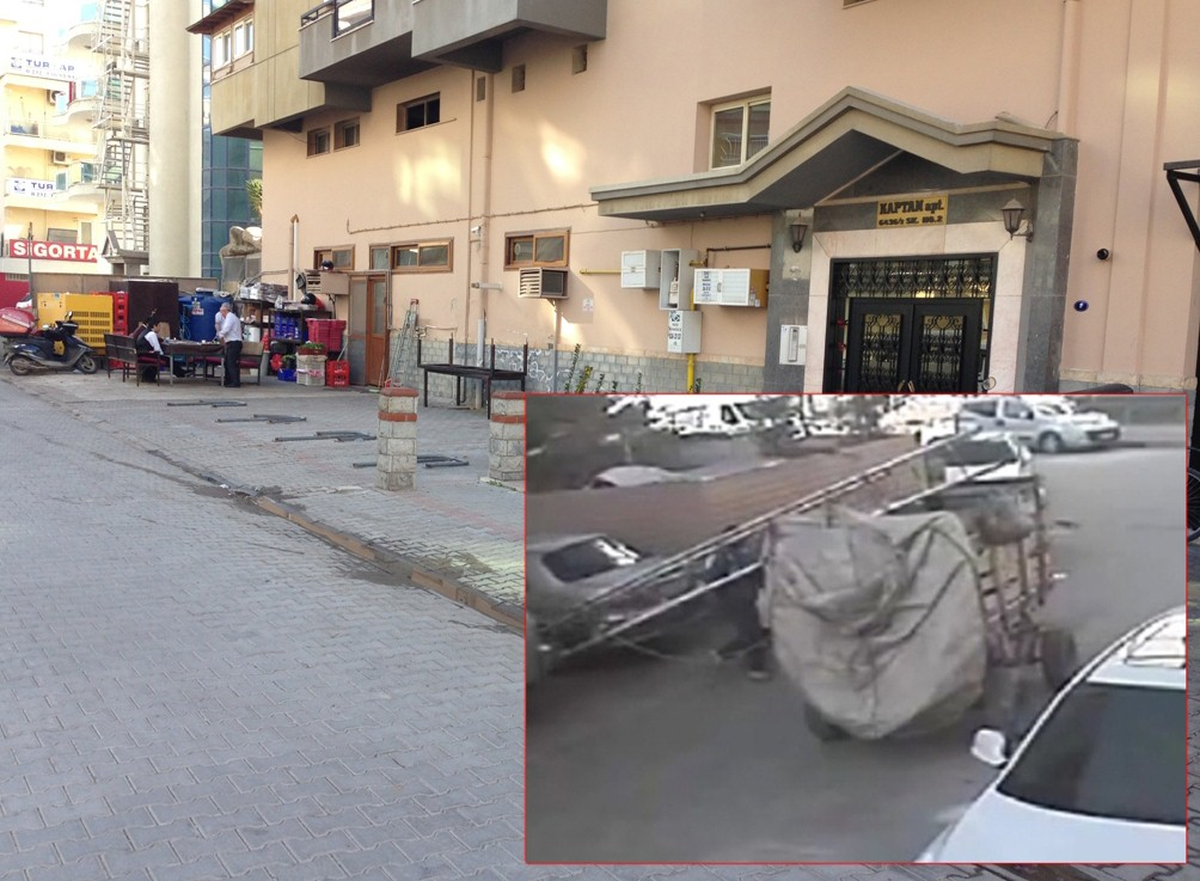 At Arabalı Hırsız, Güvenlik Kameralarına Yakalandı