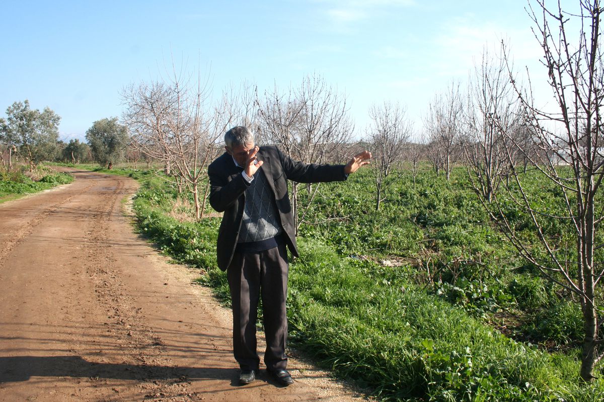 Çiftçiye Kartal Saldırdı