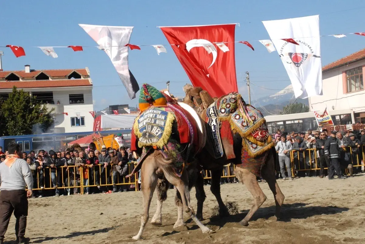 Fethiye'de Develer Okul Yararına Güreşecek