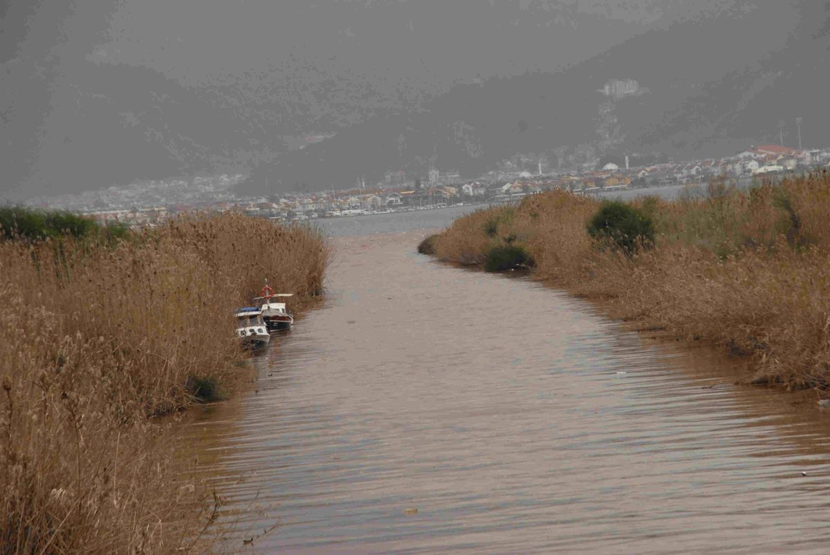 Fethiye Körfezi\'ne Dökülen Atıklar İncelemede