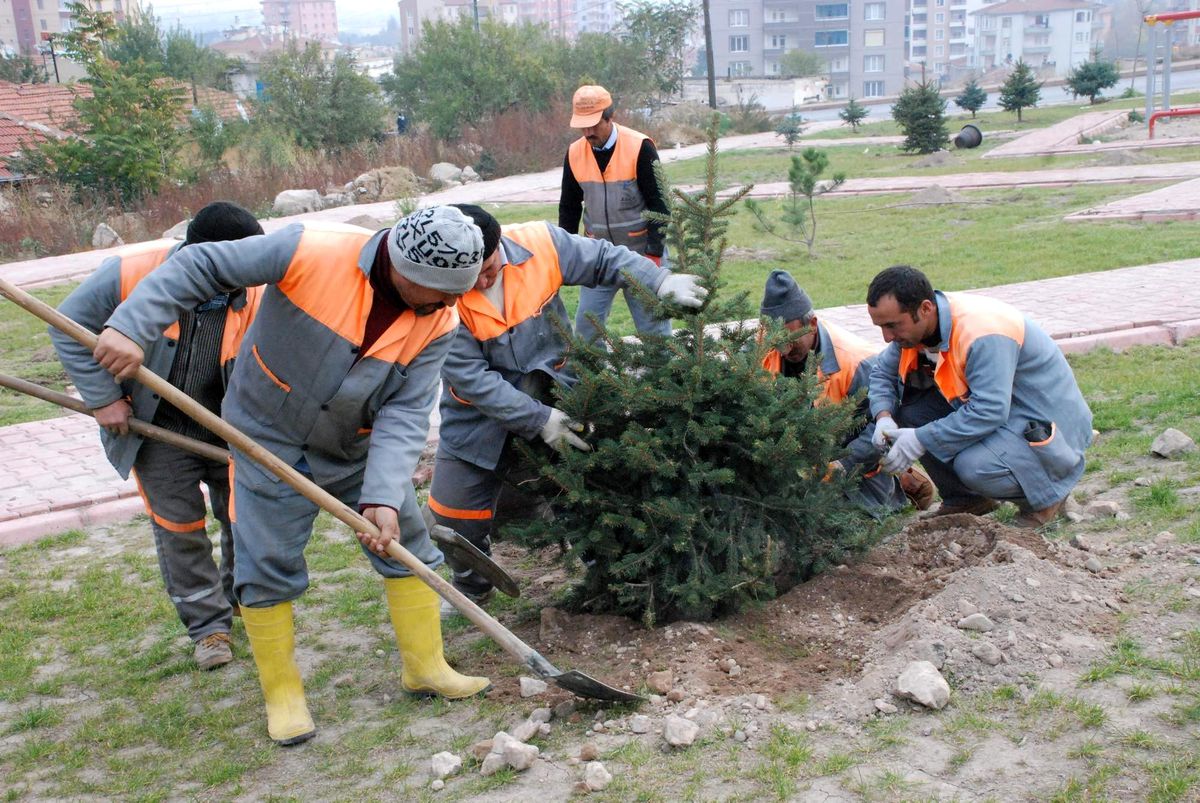 İşsizliğe Karşı Belediye Desteği