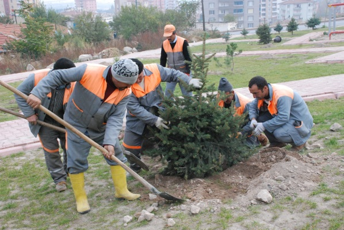 İşsizliğe Karşı Belediye Desteği